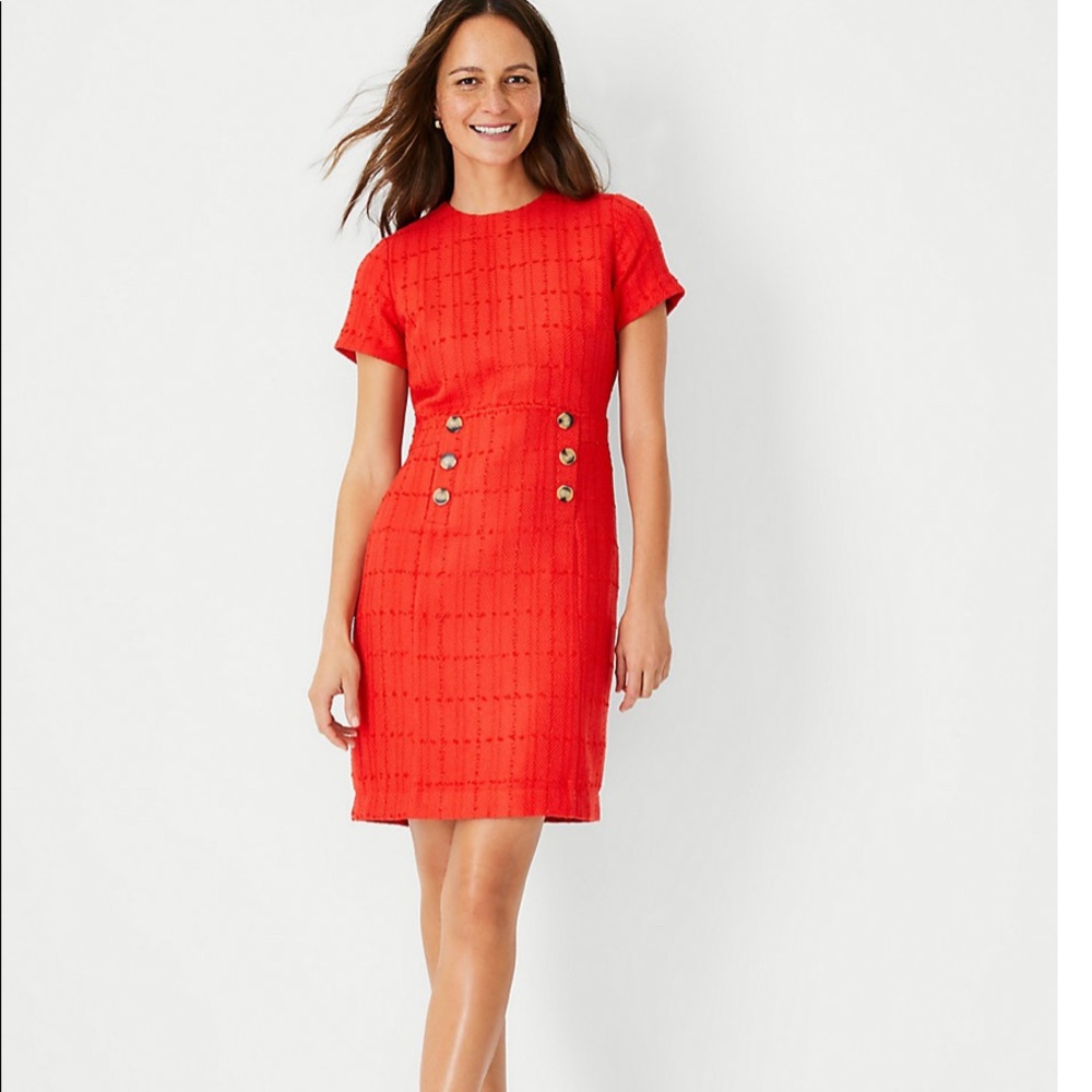 Ann Taylor dress 👗